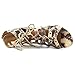 MIA Women's Gala Gladiator Sandal