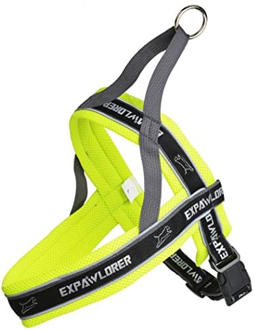 Pet New Best Classic Adjustable Nylon Vest Mesh Outdoor Adventure Walking No Pull Dog Harness with Reflective Protective Belt Green S