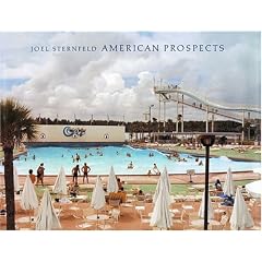 Joel Sternfeld: American Prospects