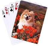 Dog Breed Cards Pomeranian
