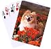   - Dog Breed Cards Pomeranian