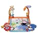Fisher-Price Discover and Grow Open Top Musical Discovery Gym