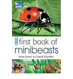 RSPB first book of minibeasts