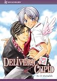 Delivery Cupid