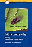 British lonchaeidae : diptera cyclorrhapha, acalyptratae