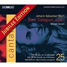 Bach, J.S.: Cantatas, Vol. 25 - Bwv 78, 99, 114