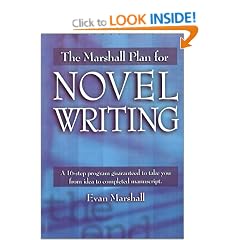 Marshall Plan for Novel Writing