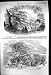 1852 Syon Great Plant House Cedar Tree Seat Duke Northumberland