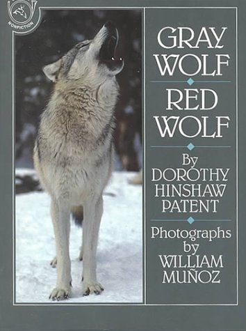 Gray Wolf, Red Wolf