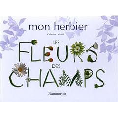 Mon herbier : Les Fleurs des champs
