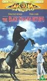 The Black Stallion Returns [1983]
