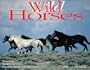 Wild Horses 2004 Calendar