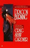 The Dragon Circle: Dragon Burning (Dragon Circle)