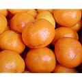 愛媛みかん　家庭用　大玉　10ｋｇ