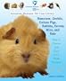 Hamsters, Gerbils, Guinea Pigs, Rabbits, Ferrets, Mice, and Rats: How to Choose and Care for a Small Mammal (American Humane Pet Care Library)