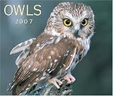 Owls 2007 (Calendar)