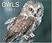 Owls 2007 Calendar