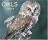 Owls 2007 (Calendar)