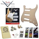 Fender Custom Shop Texas Special Guitar Pickups with Stratocaster Accessories Pack, Gold Pickguard, 5-way Switch, & (3X) 250k Volume pot, Guitar Polish & GO-DPS Polishing Cloth