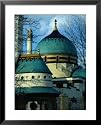 Zsolnay Tiled Elephant House at Budapest Zoo, Budapest, Hungary Framed Art Poster Print by David Greedy, 25x31