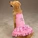 SMALL - PINK - Skull  Crossbones Sundress