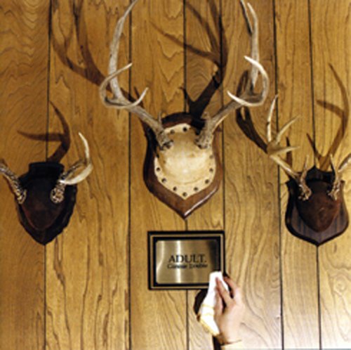 Adult. - Bad Ideas Lyrics - Zortam Music