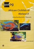 AQUALOG African Cichlids III Malawi II: Peacocks