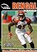 bengal6  - Bengal Nation The New Cats of Queen City