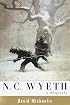 N. C. Wyeth : A Biography