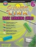 Summer Link Basic Learning Skills, Grades 5-6