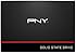 PNY CS1311 240 GB 2.5" SATA III Internal Solid State Drive SSD7CS1311-240-RB