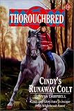 Thoroughbred #13 Cindy's Runaway Colt (Thoroughbred)