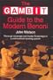The Gambit Guide to the Modern Benoni