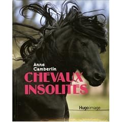 Chevaux insolites