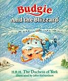 Budgie and the Blizzard