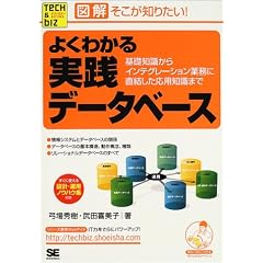 図解 そこが知りたい!よくわかる実践データベース―基礎知識からインテグレーション業務に直結した応用知識まで (Tech & Bizシリーズ)