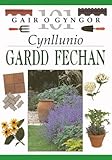 Cynllunio gardd fechan