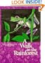 A Walk in the Rainforest