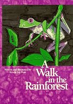 A Walk in the Rainforest