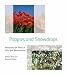 Poppies and Snowdrops: Resources for Times of Grief and Bereavement