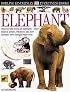 Eyewitness: Elephant