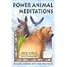 Power Animal Meditations: Shamanic Journeys with Your Spirit Allies