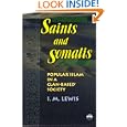 Saints and Somalis: Popular Islam in a Clan-Based Society by I. M. Lewis