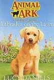 Labrador on the Lawn