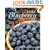 Very Blueberry