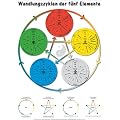 Plakat - Wandlungszyklen der f�nf Elemente: Die Beziehungen der Elemente auf einen Blick - f�r Praktizierende und Lernende der chinesischen Medizin und Shiatsu