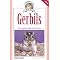 Have a Pet Gerbil