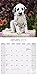 Dalmatian Puppies Calendar - Breed Specific Dalmatian Puppies Calendar - 2016 Wall calendars - Dog Calendars - Monthly Wall Calendar by Avonside