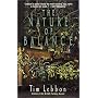 The Nature of Balance
