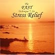 The FAST Technique for Stress Relief